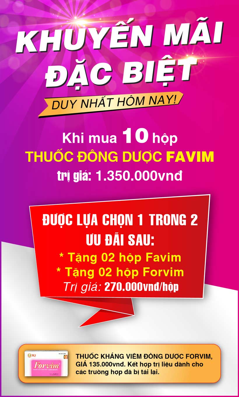 bannerkmfavimmobile18